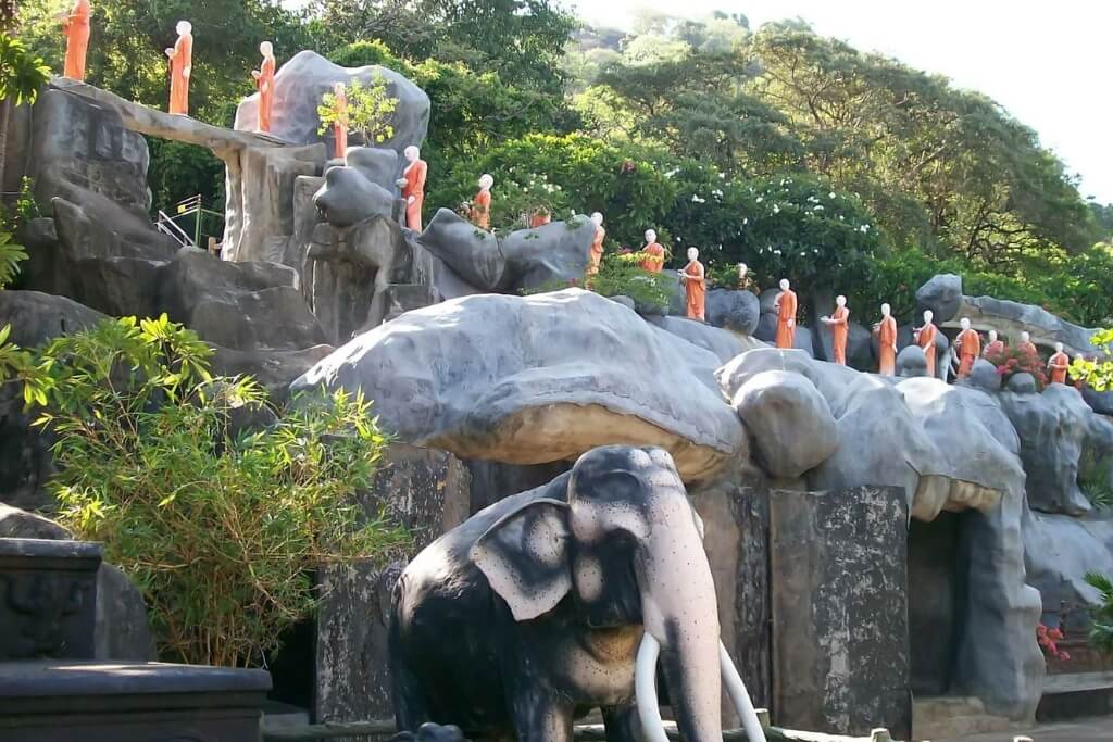 Panoramic View