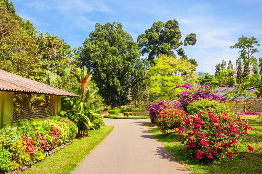 Royal Botanical Gardens