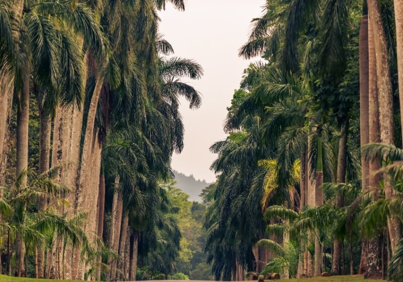 Royal Botanical Gardens