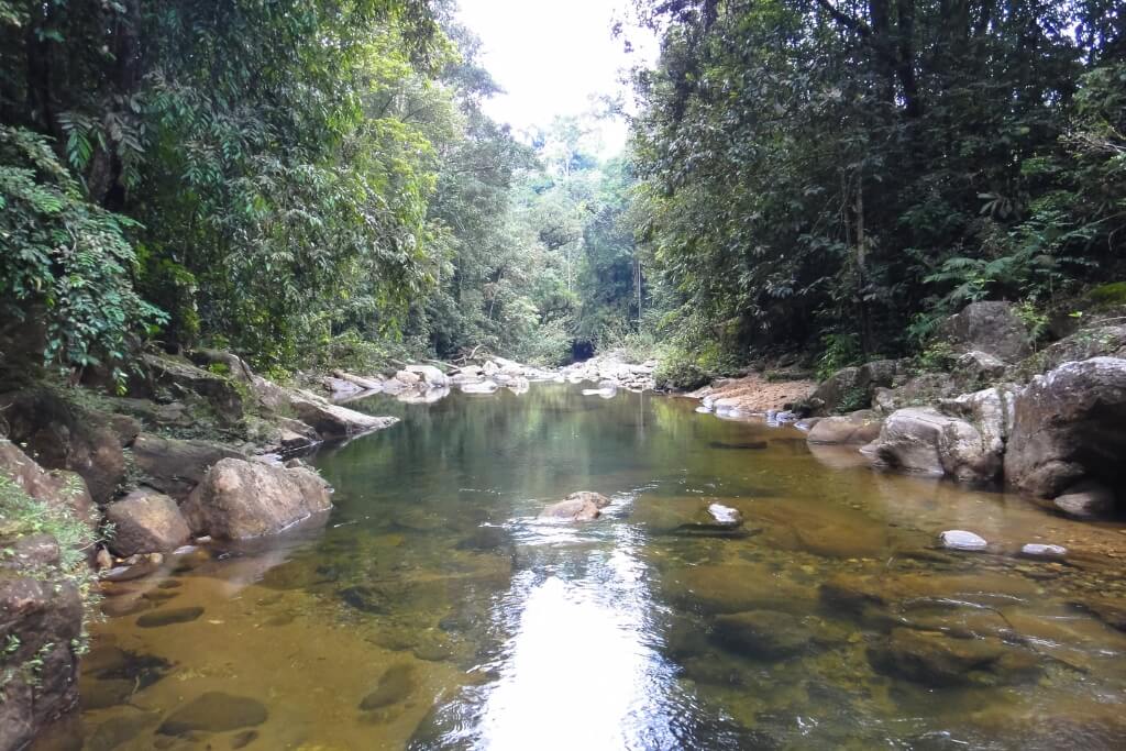 Sinharaja River