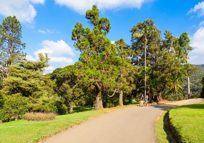 Hakgala Botanical Gardens