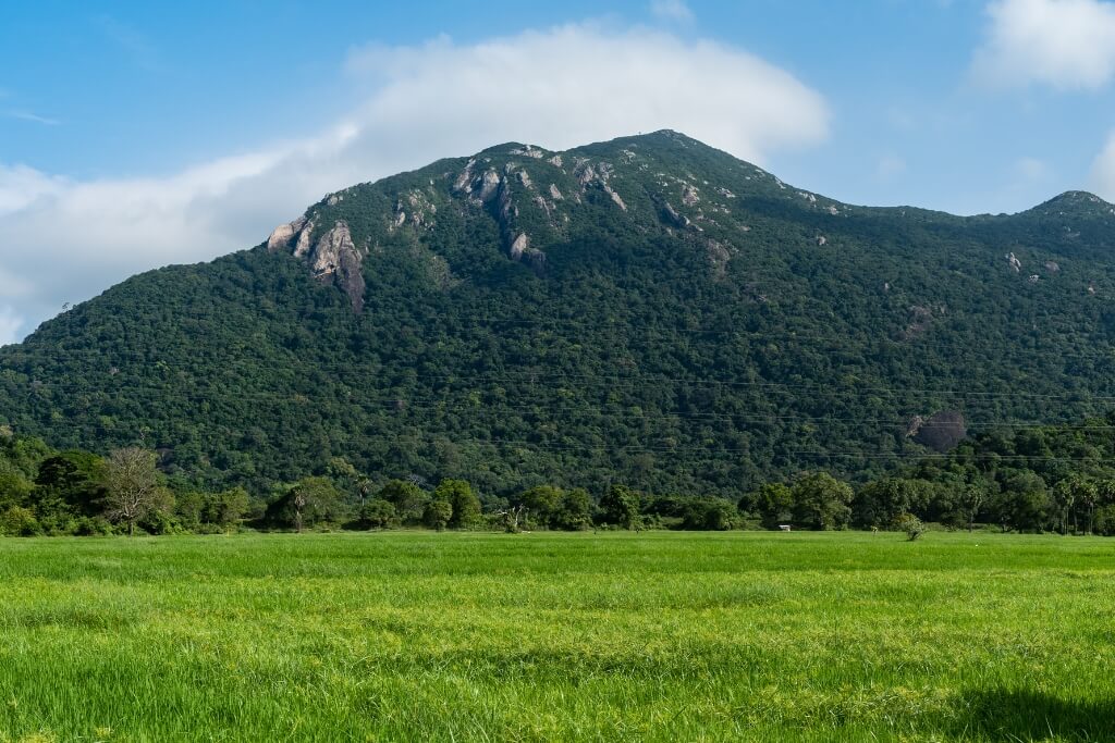 Knuckles Mountain Range