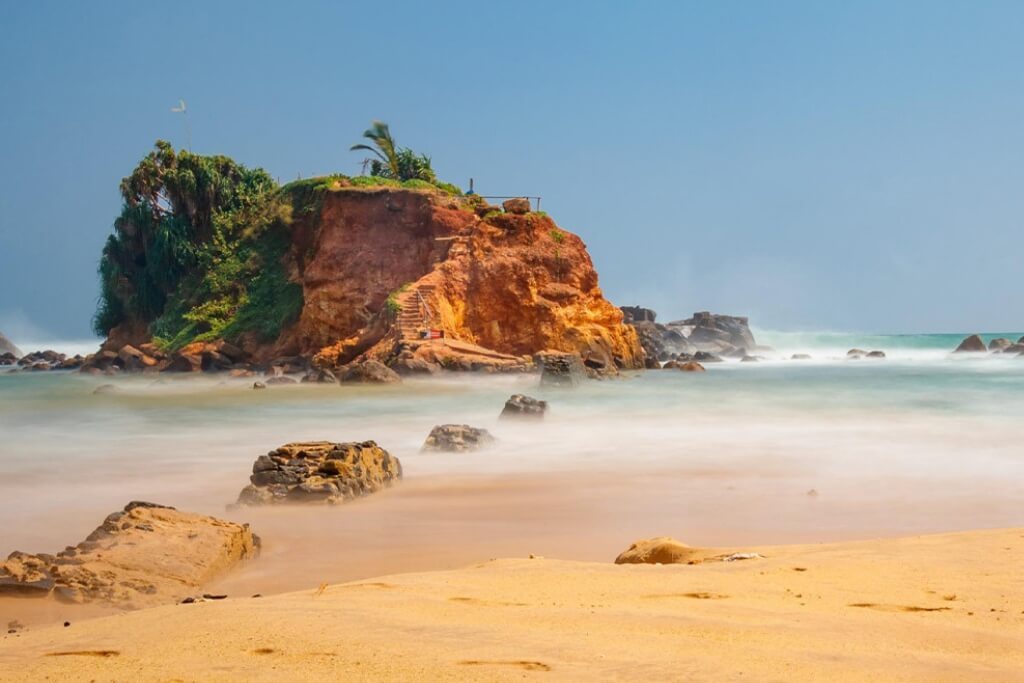 Parrot Rock