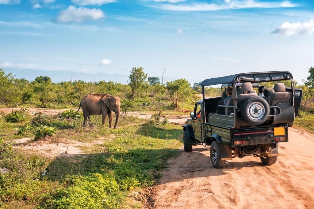 Yala National Park Safari Jeep