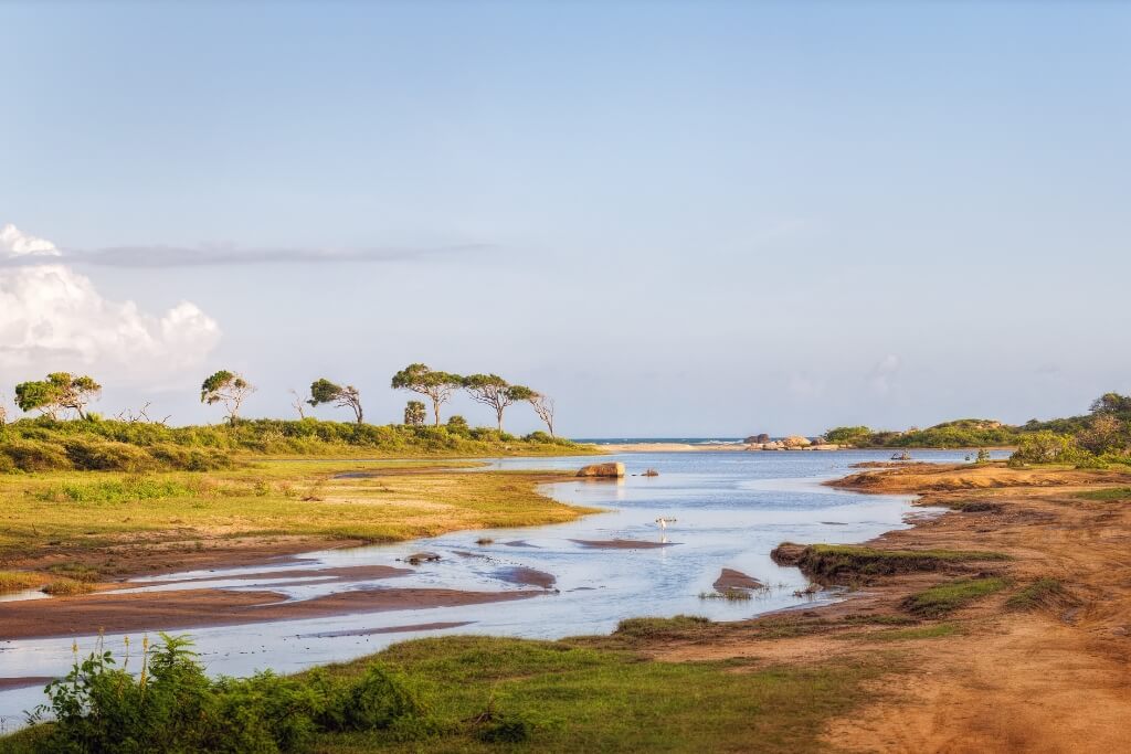 Yala Beach & Dunes