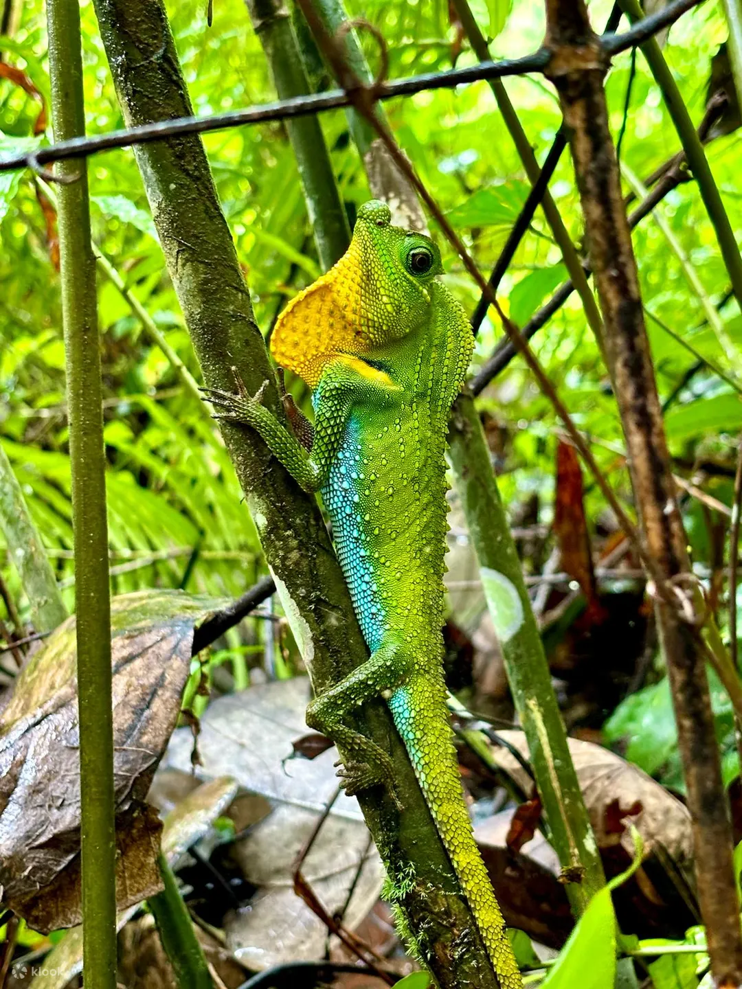 Biodiversity